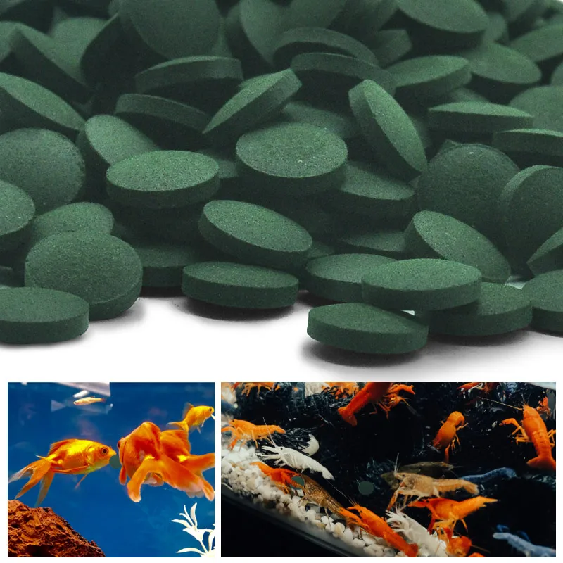 Fish Food Flake - 100pcs High Purity Spirulina Tablets Spiral