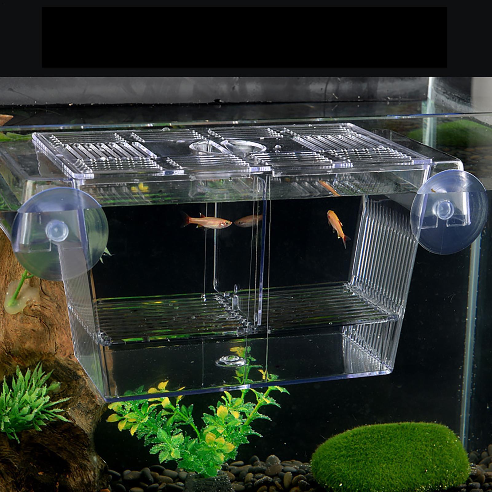 Aquarium Fish Medicine - 3 Types Acrylic Fish Breeding Isolation