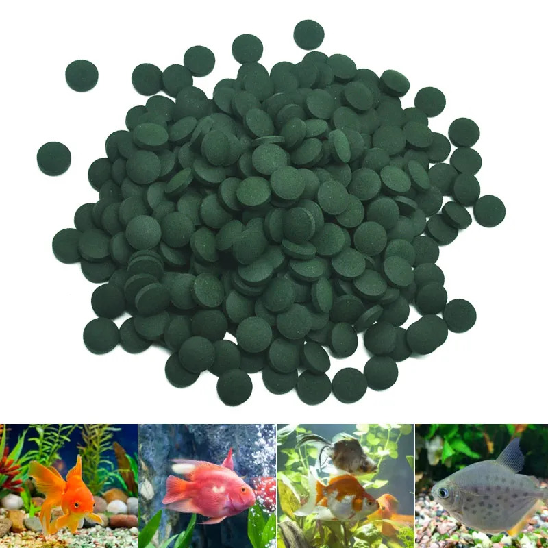 100-3000pc High Purity Spiruli - Fish Food Flake review and price