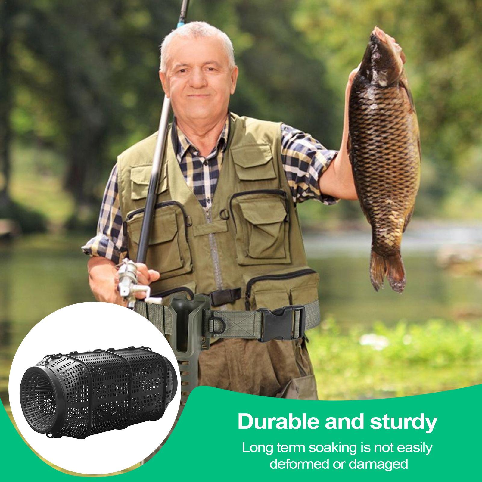 Fish Trap Portable Minnow Trap - Aquarium Fish Escape review and price