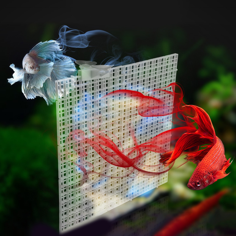 30x15cm 30x30cm Grid Divider P - Aquarium Fish Net review and price