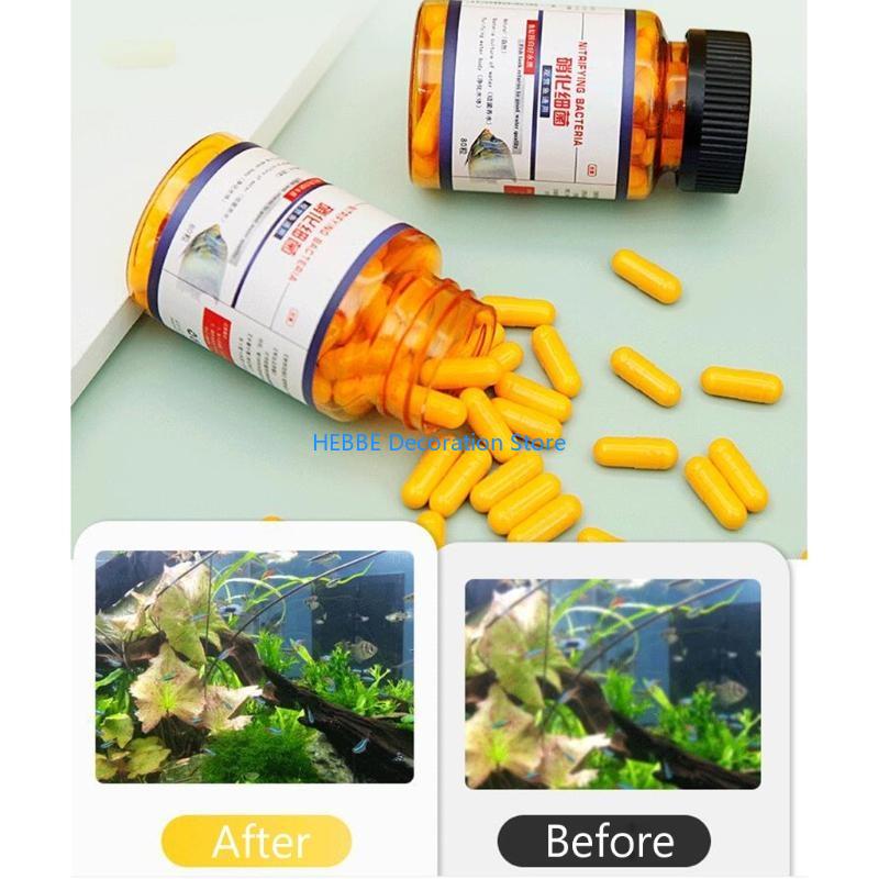 B0KC Nitrifying Capsules Estab - Aquarium Fish Medicine review and price