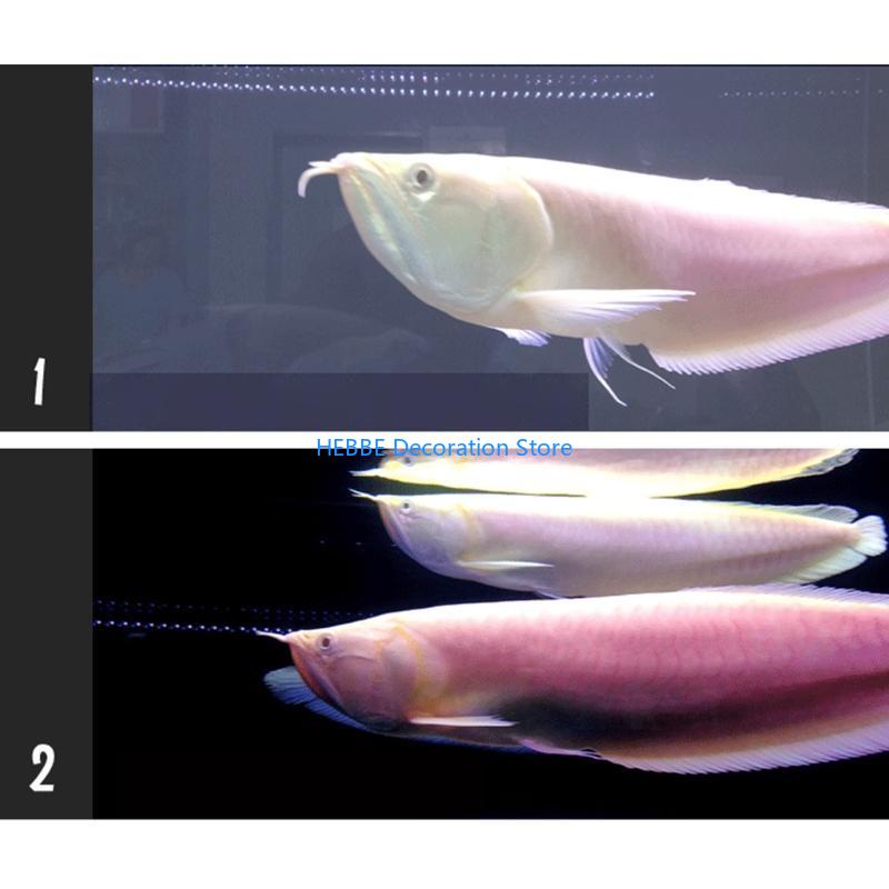 B0KC Nitrifying Capsules Estab - Aquarium Fish Medicine review and price