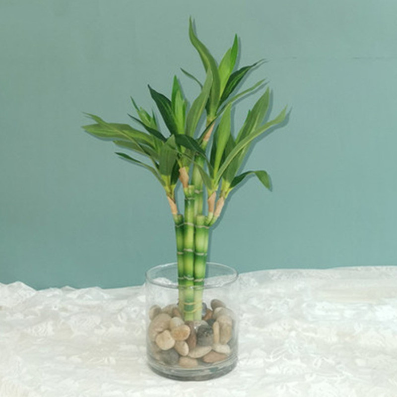 New 40cm rFtificial Lucky Bamb - Aquarium Fish Home review and price