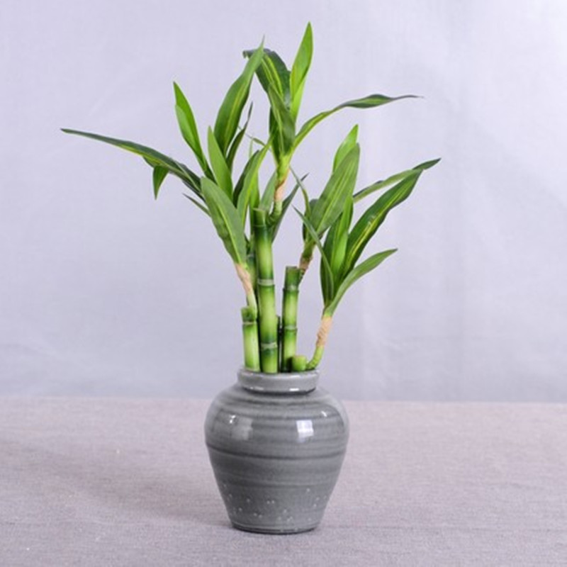 New 40cm rFtificial Lucky Bamb - Aquarium Fish Home review and price
