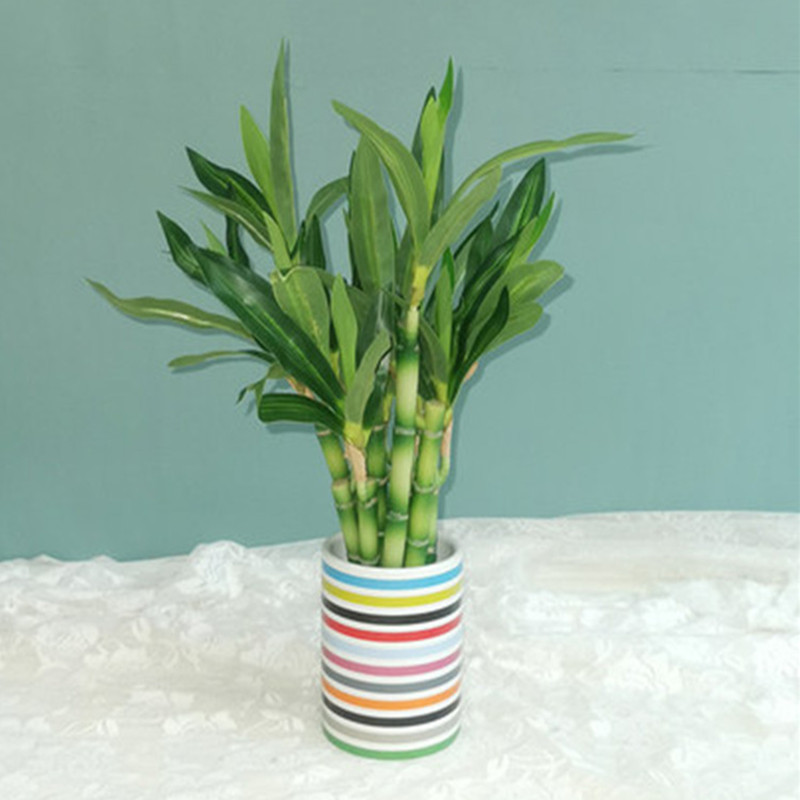 New 40cm rFtificial Lucky Bamb - Aquarium Fish Home review and price