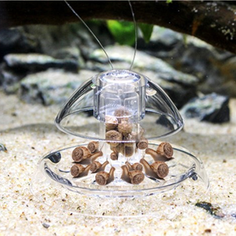 1PCS Fish Tank Aquarium Cleane - Aquarium Fish Escape review and price