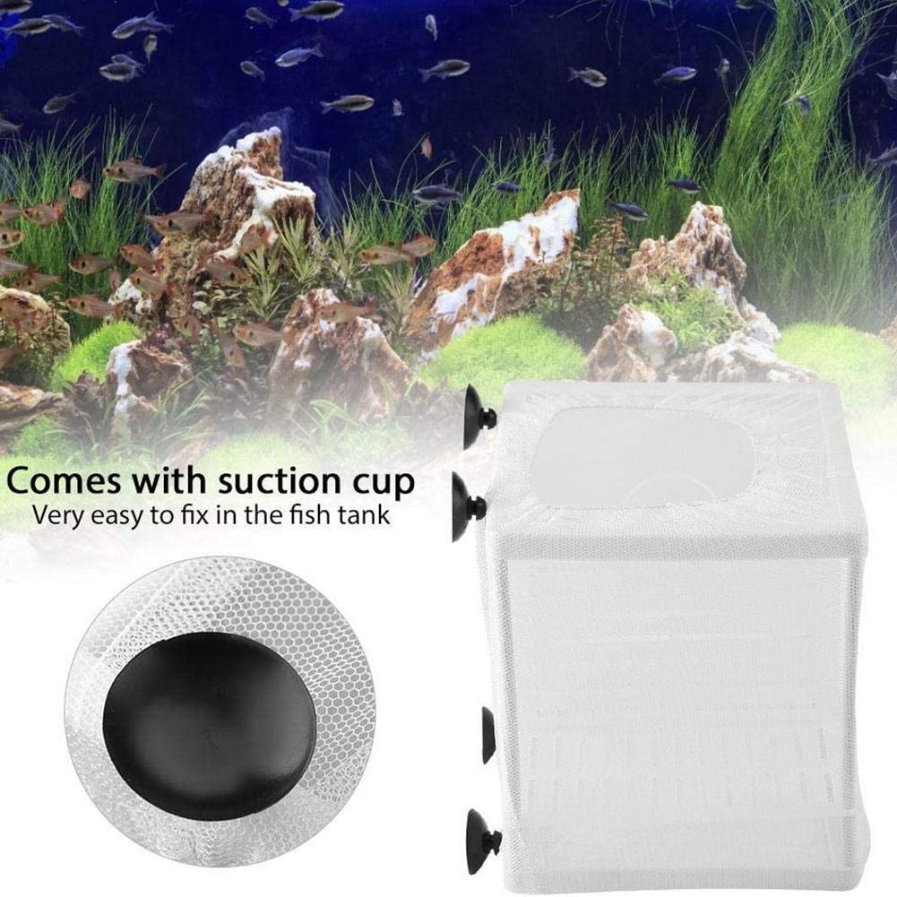 Aquarium Fish Breeder Box with - Aquarium Fish Medicine review and price