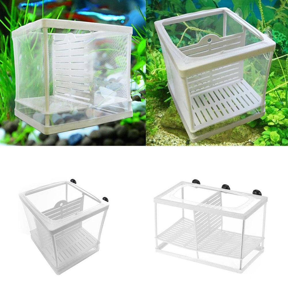 Aquarium Fish Breeder Box with - Aquarium Fish Medicine review and price