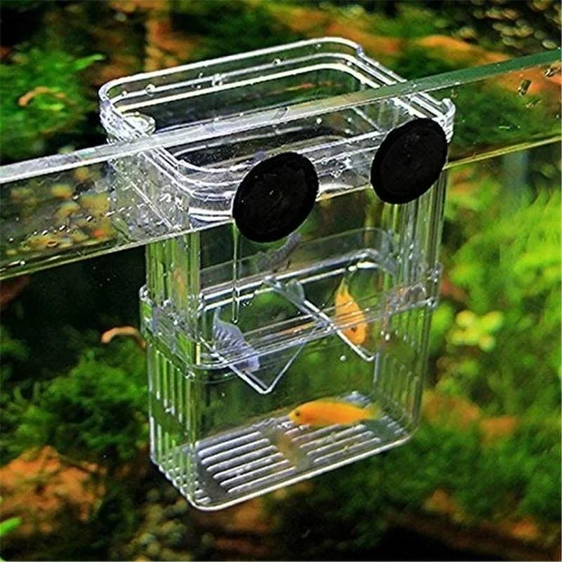 Transparent Fish Aquarium High - Aquarium Fish Medicine review and price