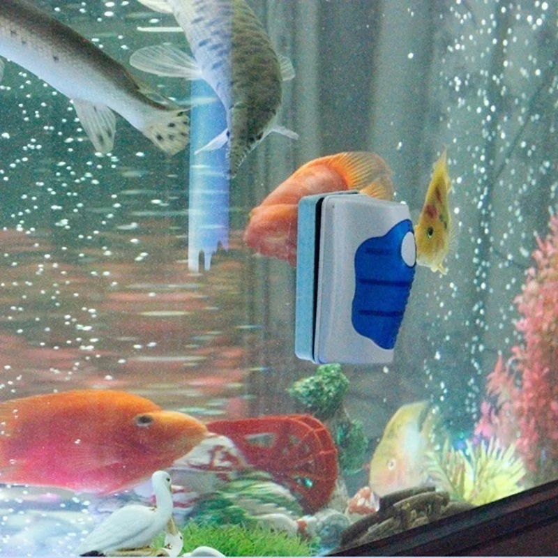 Fish Tank Glass Scraper Cleane - Aquarium Fish Escape review and price