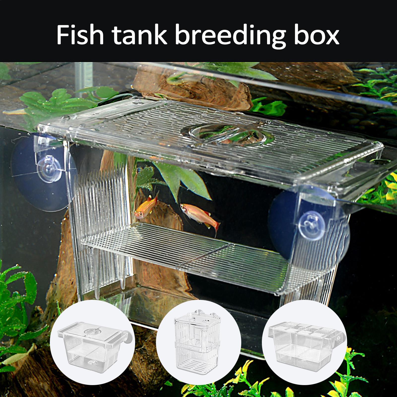 3 Types Acrylic Fish Breeding  - Aquarium Fish Medicine review and price