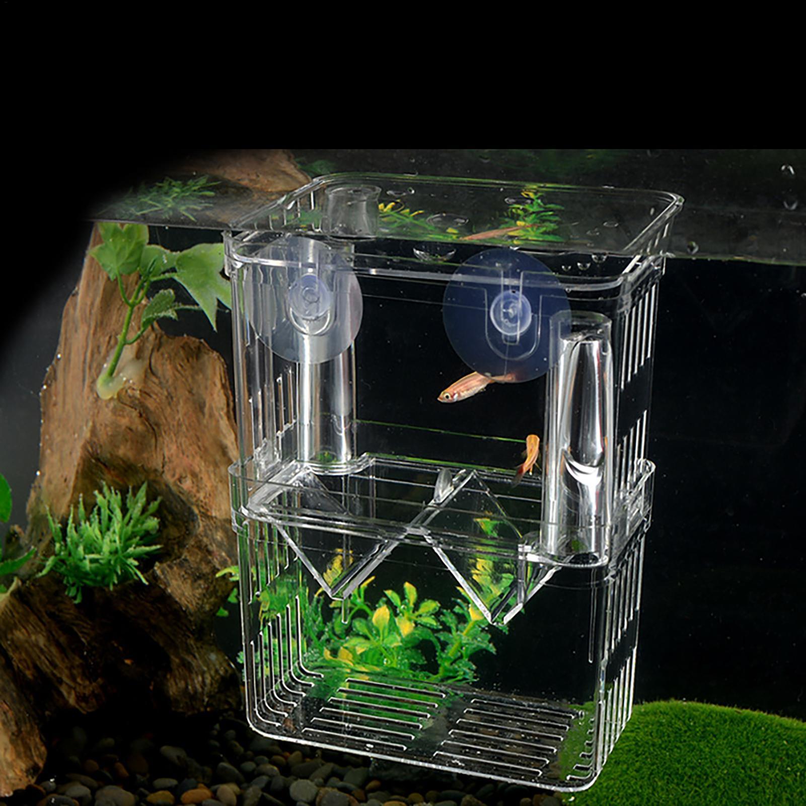 3 Types Acrylic Fish Breeding  - Aquarium Fish Medicine review and price