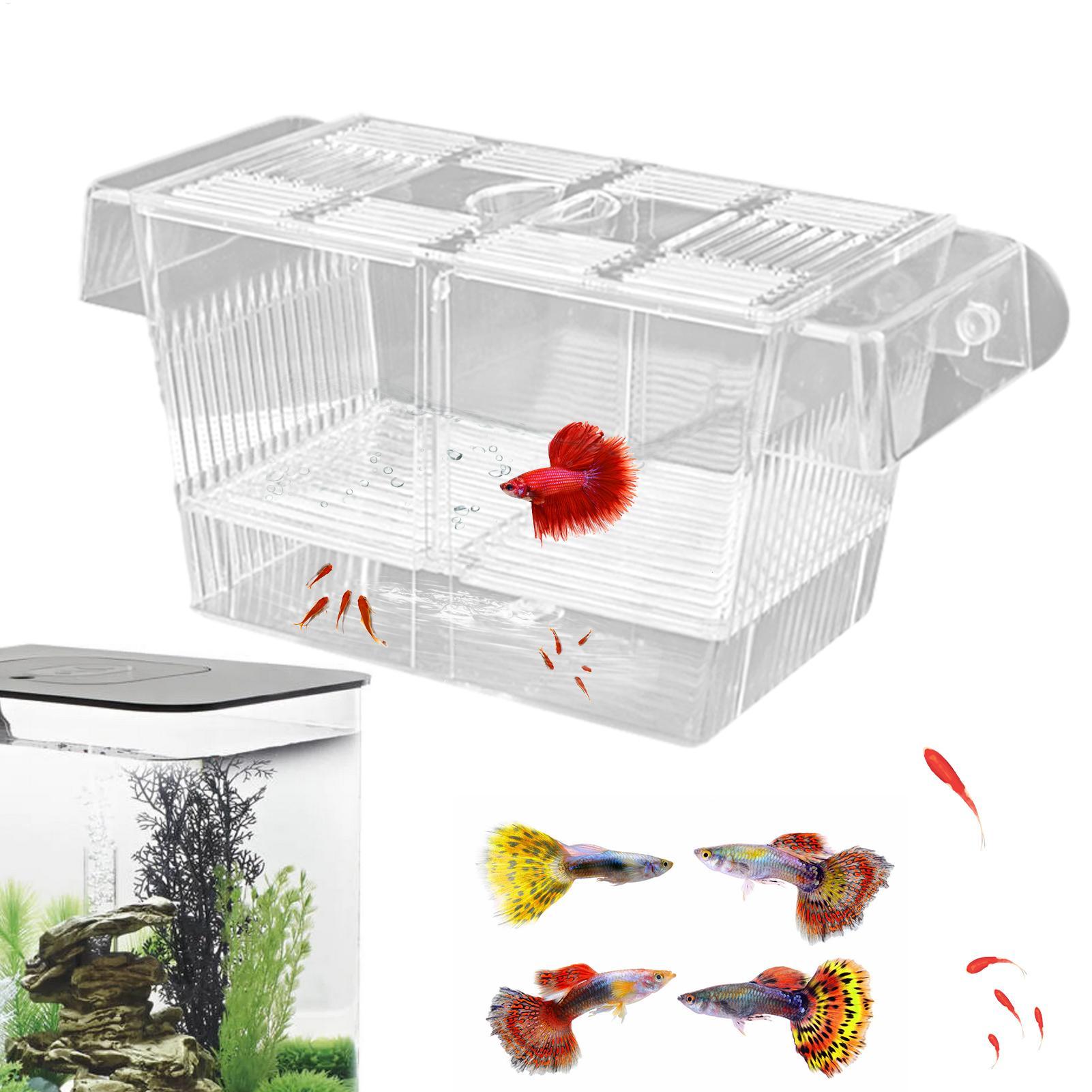 3 Types Acrylic Fish Breeding  - Aquarium Fish Medicine review and price