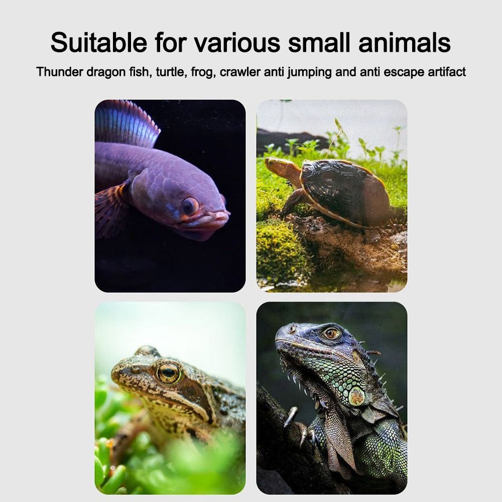 Durable Magnetic Fish Tank Lid - Aquarium Fish Net review and price