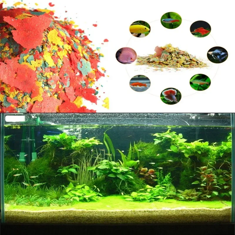 Fish Food Coloring and Brighte - Fish Food Flake review and price