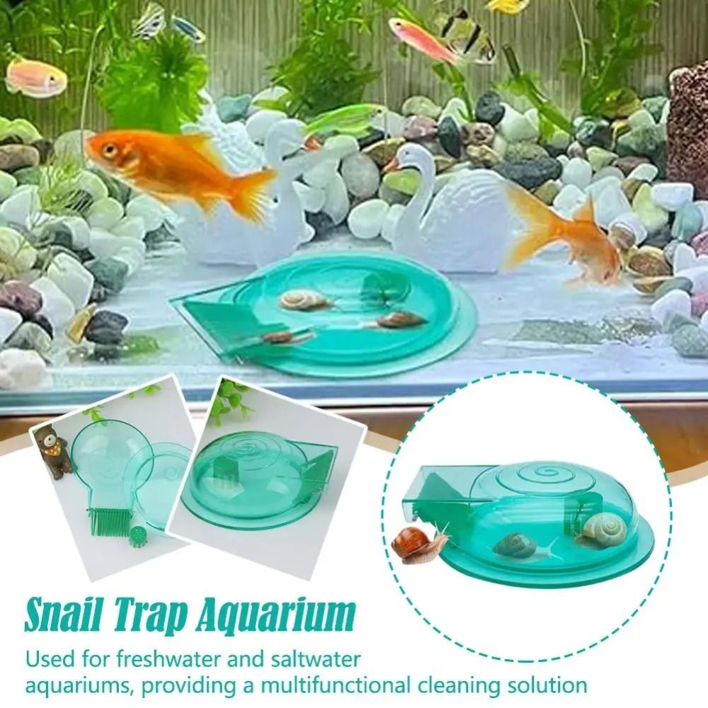 Freshwater Saltwater Aquarium  - Aquarium Fish Escape review and price