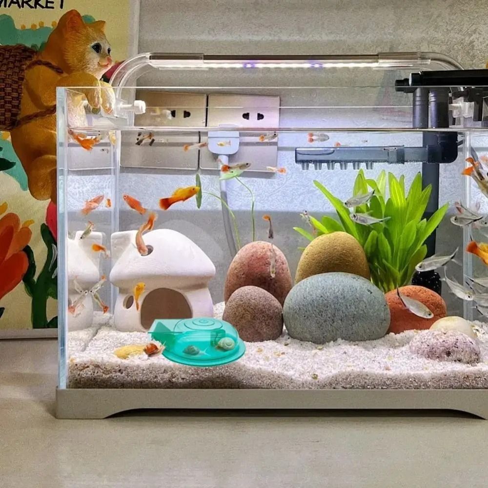 Freshwater Saltwater Aquarium  - Aquarium Fish Escape review and price