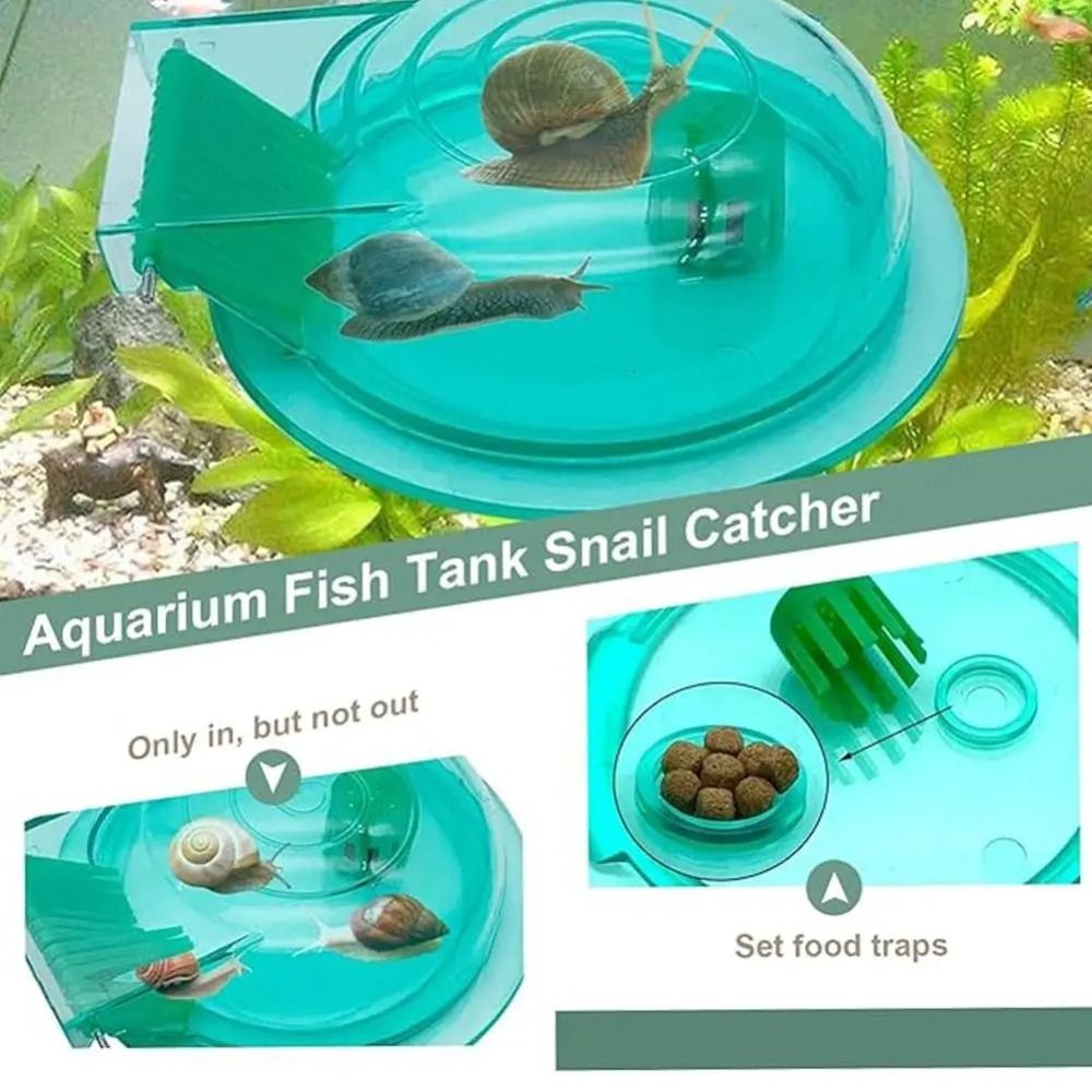 Freshwater Saltwater Aquarium  - Aquarium Fish Escape review and price