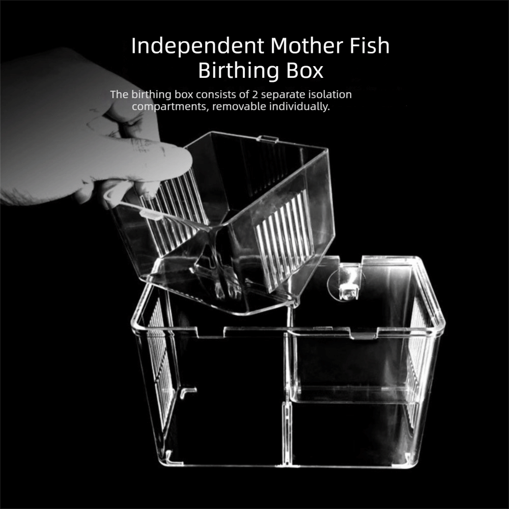 Highly Transparent Fish Breedi - Aquarium Fish Medicine review and price