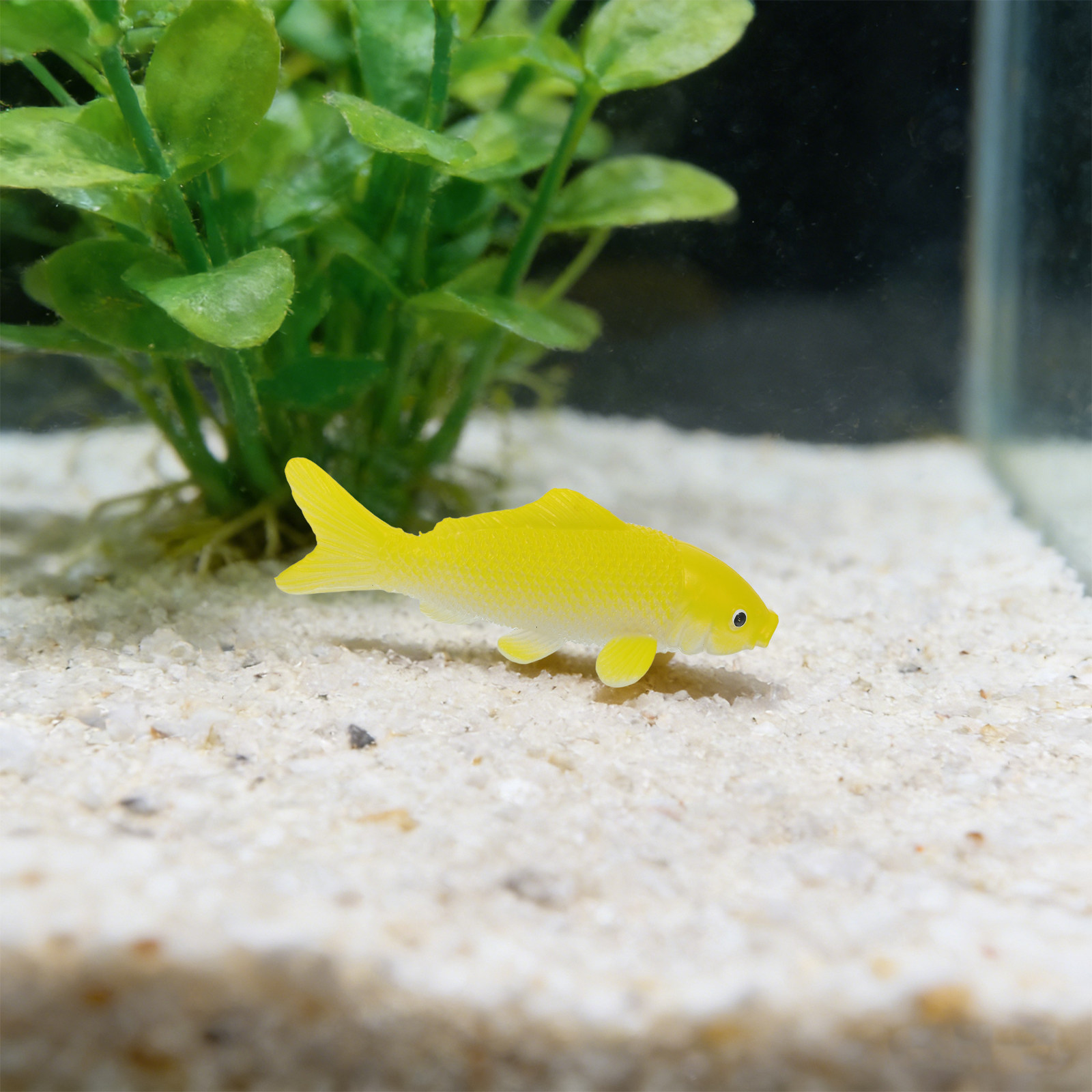 3pcs Fish Crafts Toys Realisti - Aquarium Fish Home review and price