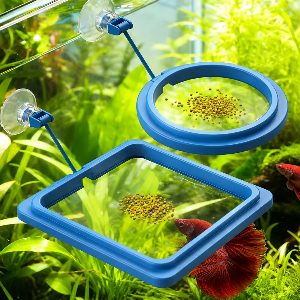 Betta Fish Food Floating Mini  - Fish Food Flake review and price