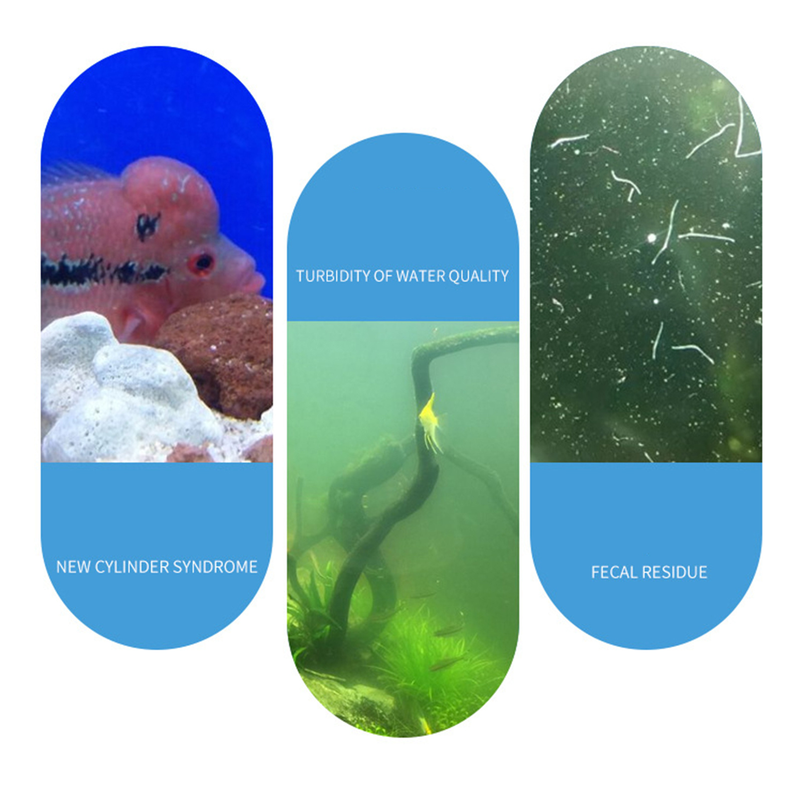 Aquarium Nitrifying Nitrobacte - Aquarium Fish Medicine review and price