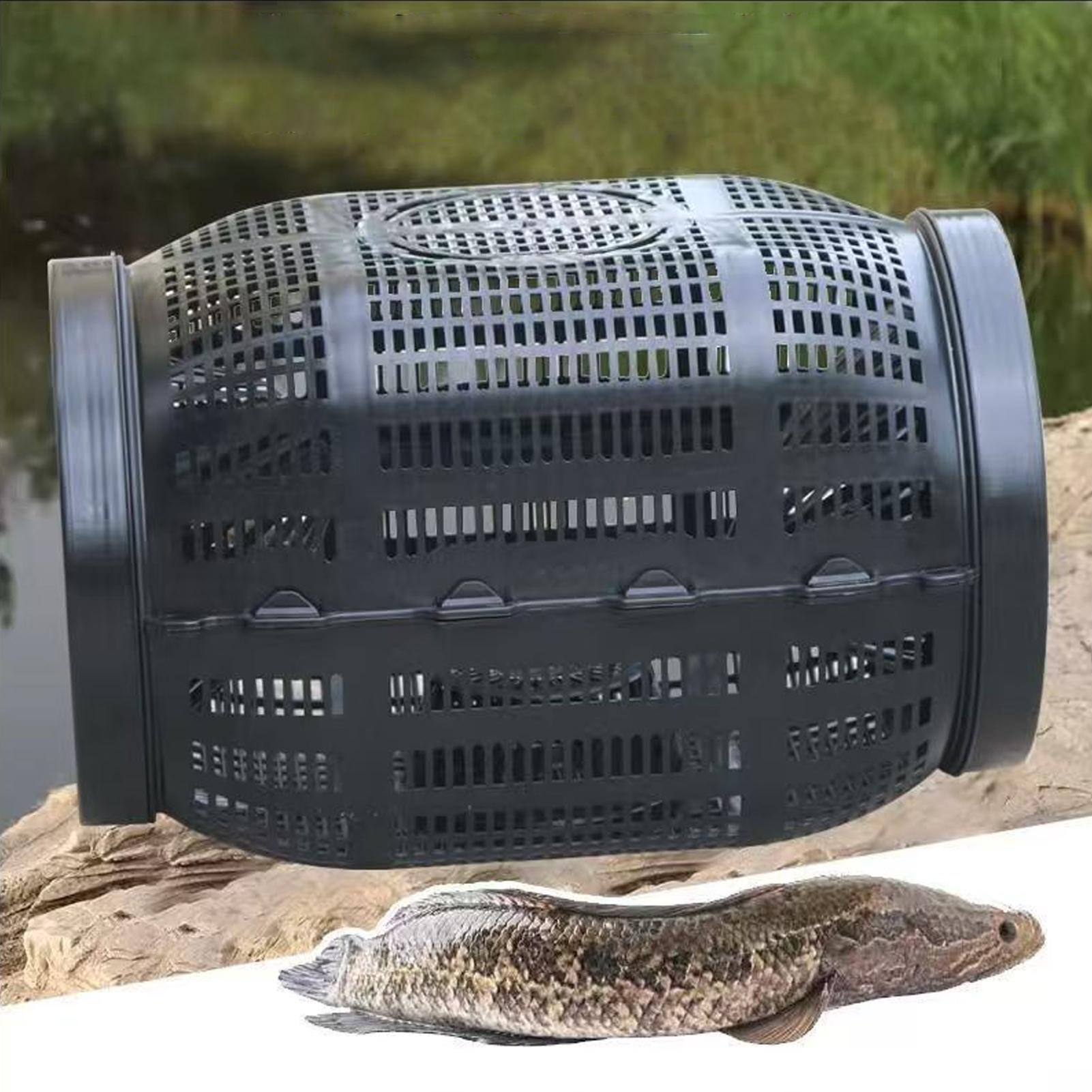 Fish Trap Portable Minnow Trap - Aquarium Fish Escape review and price