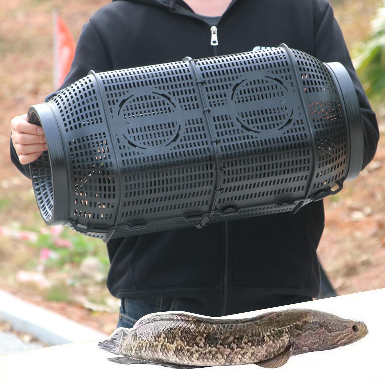 Fish Trap Portable Minnow Trap - Aquarium Fish Escape review and price