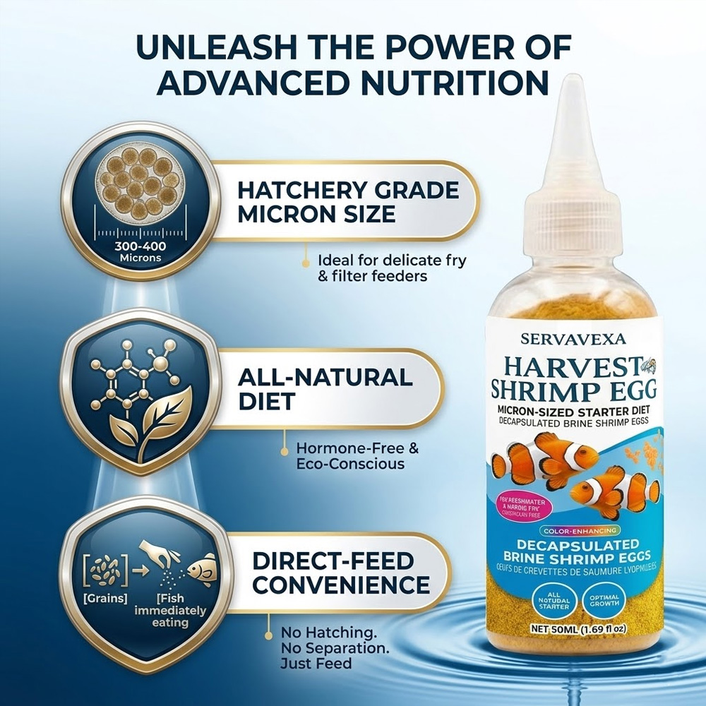 High Protein Fish Food for Bet - Aquarium Fish Medicine review and price