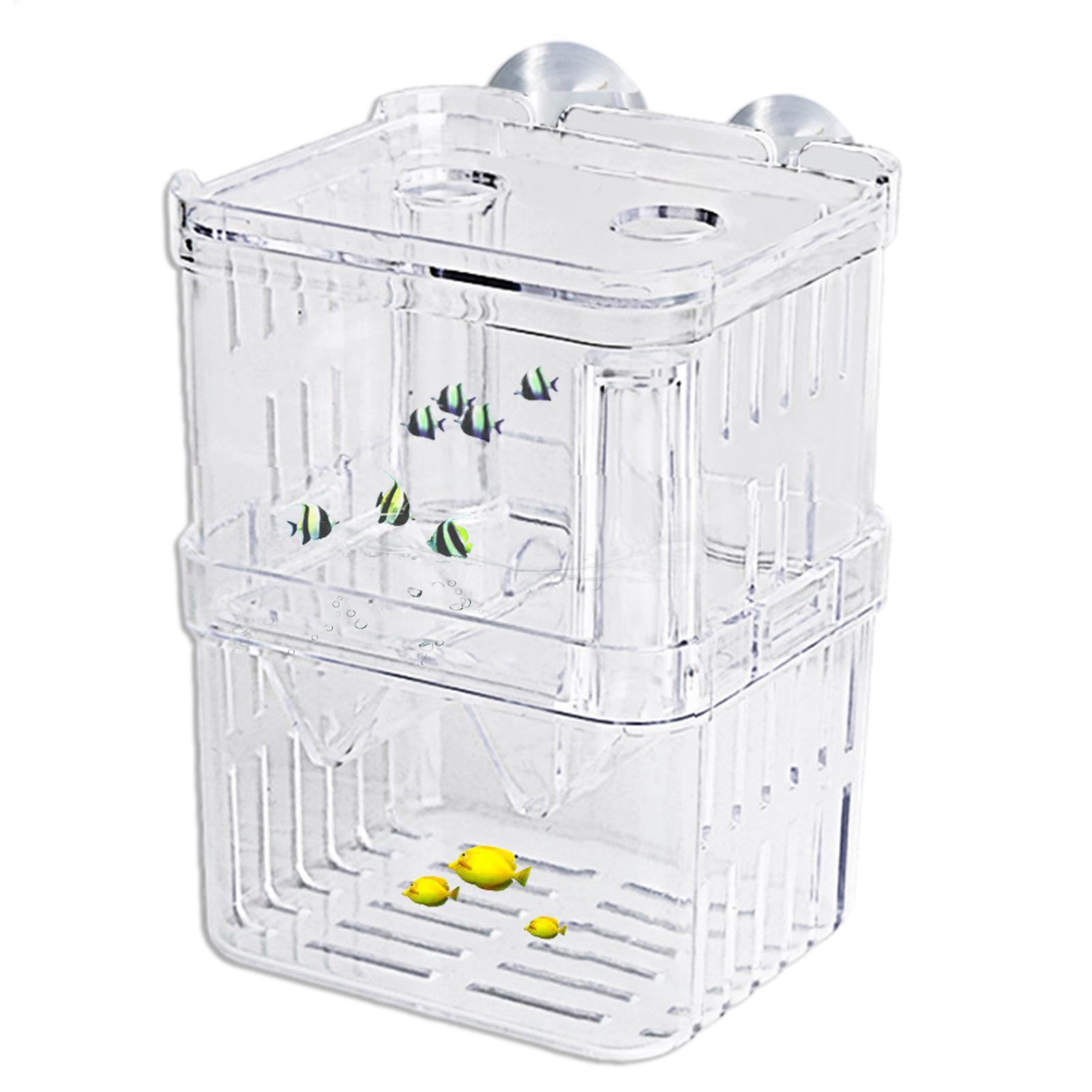 Breeder Box for Fish Tank Tran - Aquarium Fish Medicine review and price