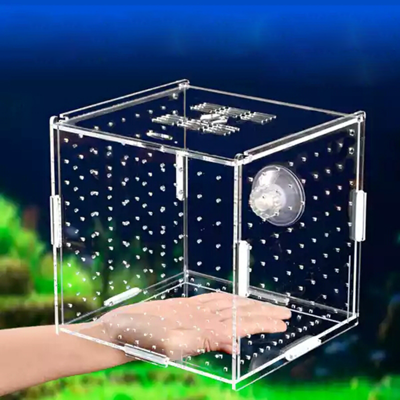 Aquarium Isolation Box Fish Ta - Aquarium Fish Medicine review and price
