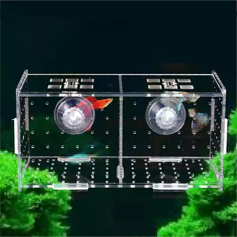 Aquarium Isolation Box Fish Ta - Aquarium Fish Medicine review and price