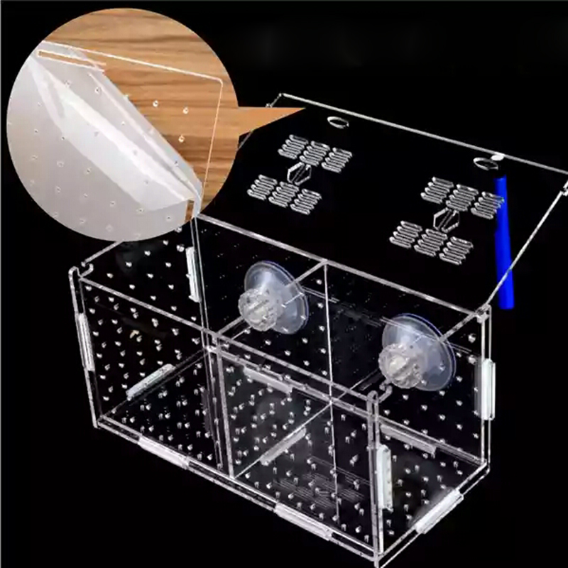 Aquarium Isolation Box Fish Ta - Aquarium Fish Medicine review and price