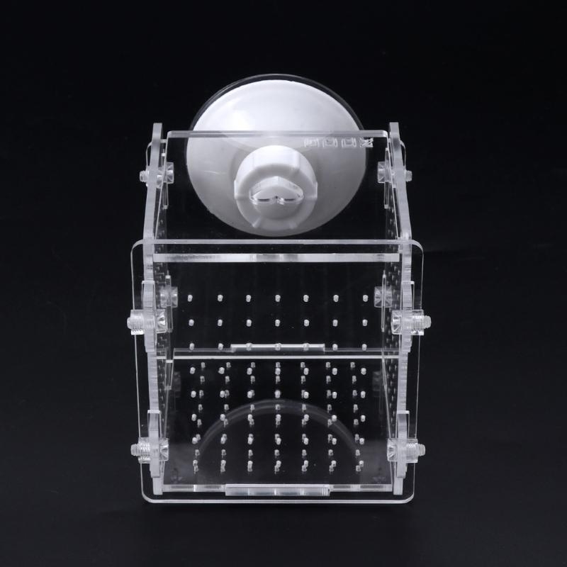 F92B Fish Breeding Box Aquariu - Aquarium Fish Medicine review and price