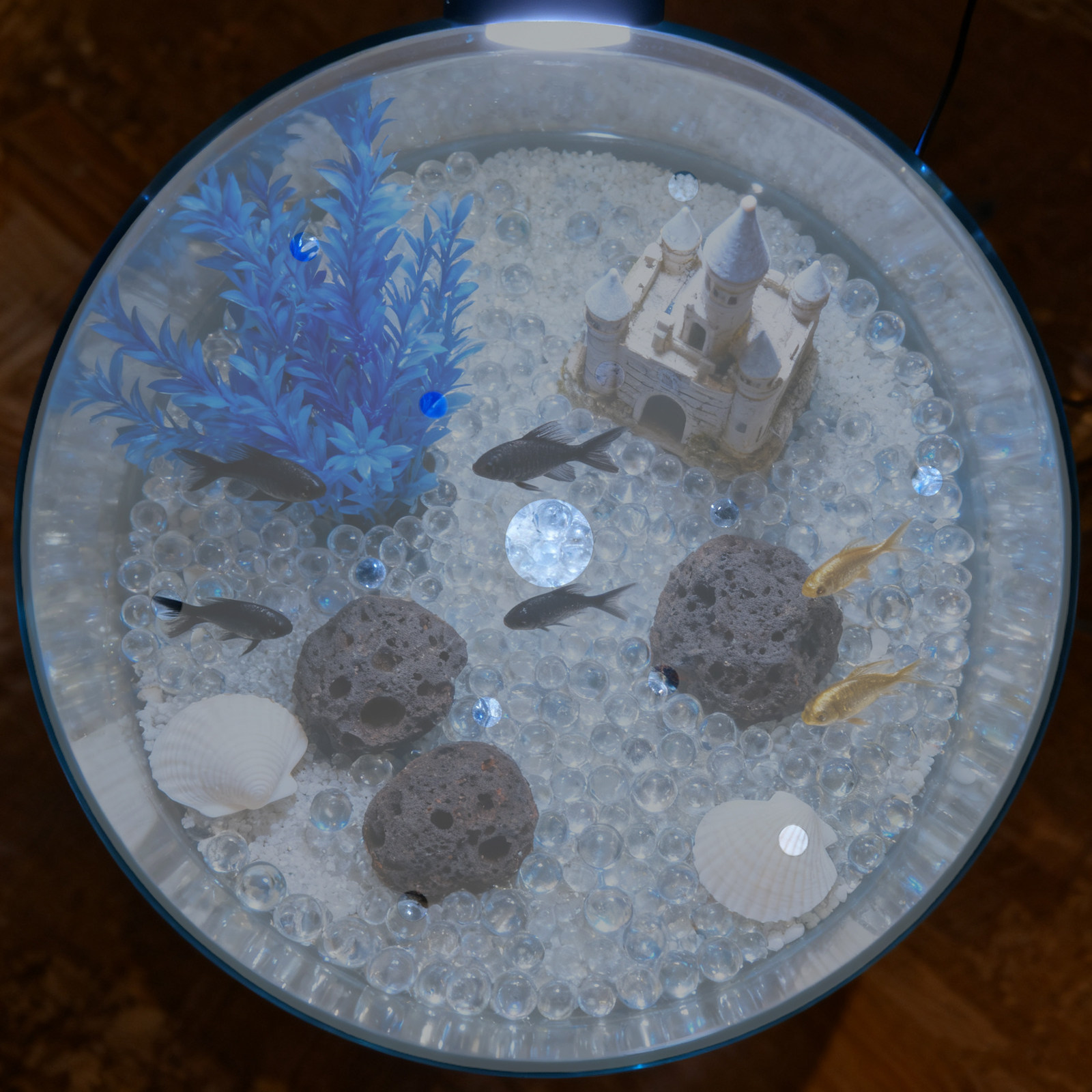 7 Inch Round Acrylic Fish Tank - Aquarium Fish Escape review and price
