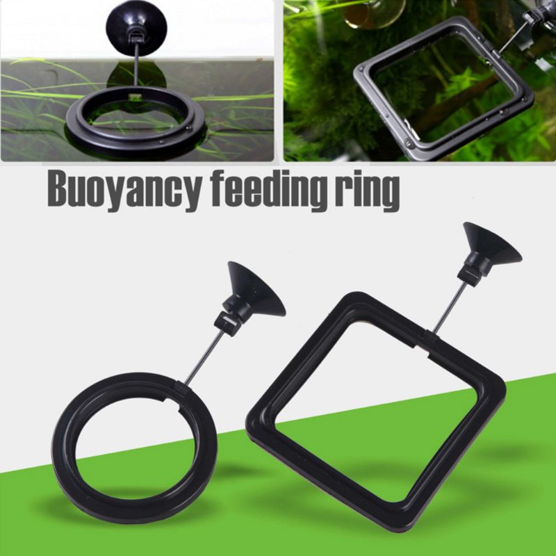 Aquarium Fish Feeding Ring Fis - Aquarium Fish Medicine review and price