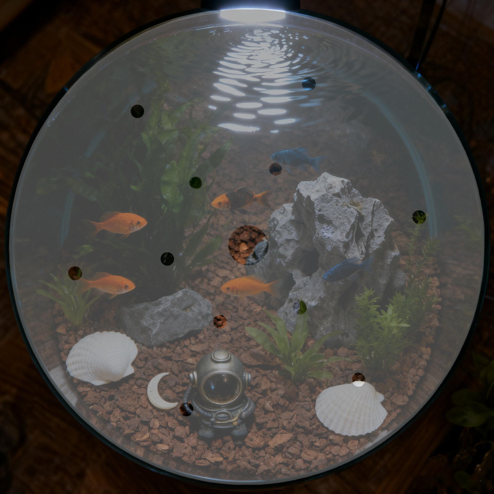 Round Acrylic Aquarium Anti-Es - Aquarium Fish Escape review and price